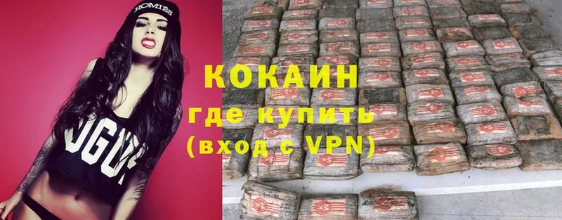 Cocaine Fish Scale  omg   Черкесск  как найти закладки 