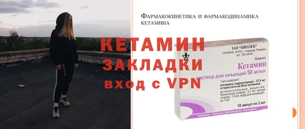 сатива Новозыбков
