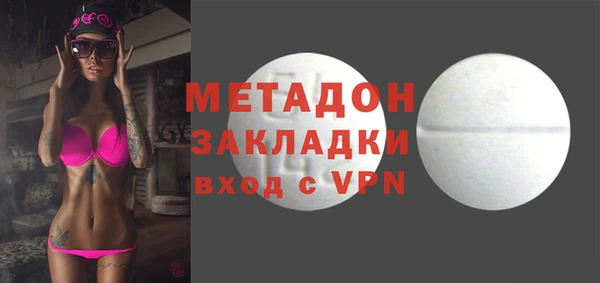 сатива Новозыбков