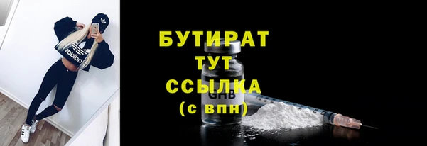 сатива Новозыбков