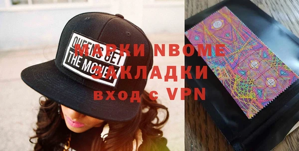 сатива Новозыбков
