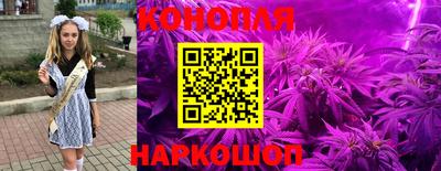 крисы Берёзовский