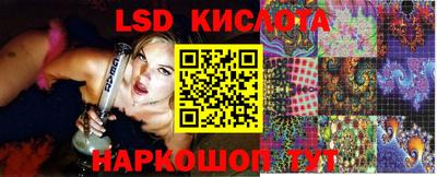 крисы Берёзовский