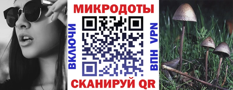 цена Черкесск Галлюциногенные грибы Psilocybine cubensis