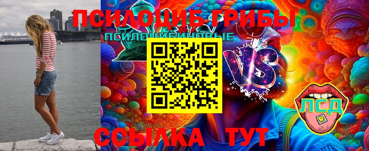 Галлюциногенные грибы MAGIC MUSHROOMS  купить   Черкесск  Псилоцибиновые грибы Magic Shrooms 