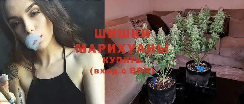 Канабис Ganja  наркота  Черкесск 