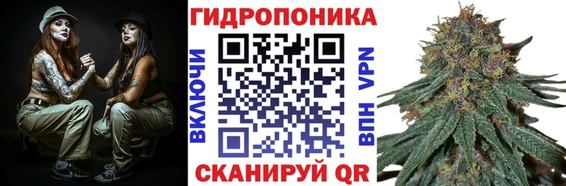 Каннабис сатива  Черкесск 